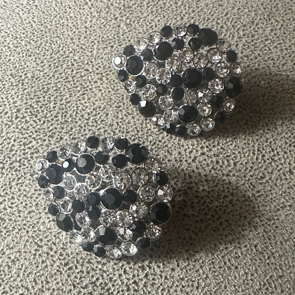 Elegant Black and Silver Crystal Earrings